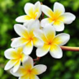 Meet your Posher, Katharine